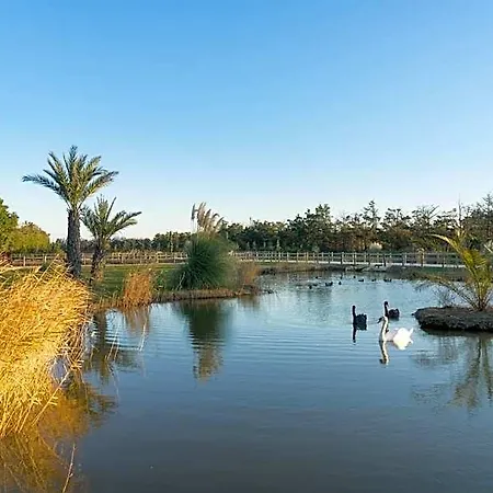 Abri Cosy - Romantique En Camargue Bed & Breakfast Saint-Gilles (Gard)